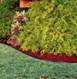 Plastic Garden Edging