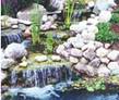 Water Gardens