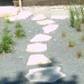 Limestone is a quarried stone