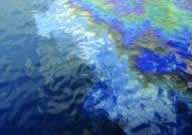 Stormwater Runoff Pollution