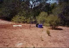 Excavate the Site