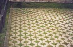 Grass pavers