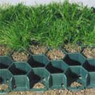 Grass Pavers