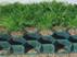 Permeable Pavers Benefits