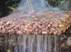 Permeable Pavers Maintenance