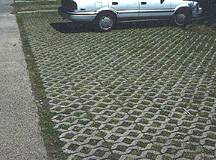 Grass Pavers