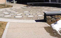 Paved Areas