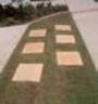 Sandstone Stepping Stones