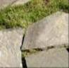 Sandstone Pavers
