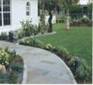 Stone Paver Walkway