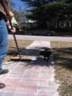 Maintaning Walkway Pavers