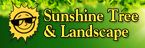 Sunshine Tree and Landscape