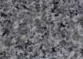 Polished Gray Granite Paver