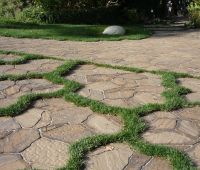 Driveway Paver with Grass Look