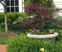 Patio with Pavers