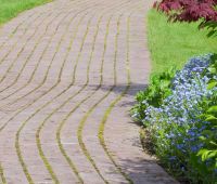 Brick Walkway