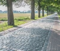 Cobble Stone and Brick Road