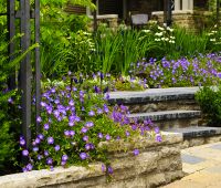 Paver Walkway