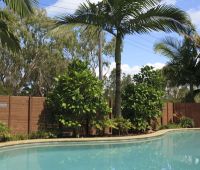 Travertine Pool  