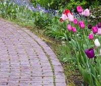 Edging Pavers