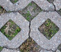 Grass Pavers