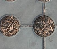 Grass Pavers