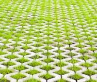 Grass Pavers