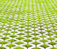 Grass Pavers