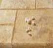 European Sand Pavers