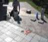 Laying the pavers